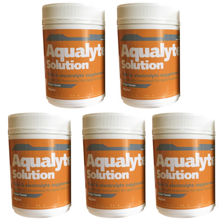 Orange 480g Tubs Aqualyte