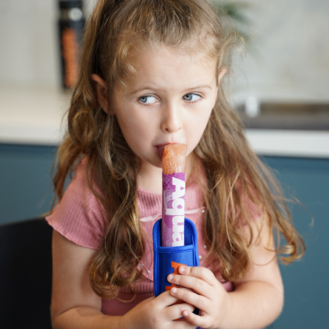 Electrolyte Enriched Icy Poles